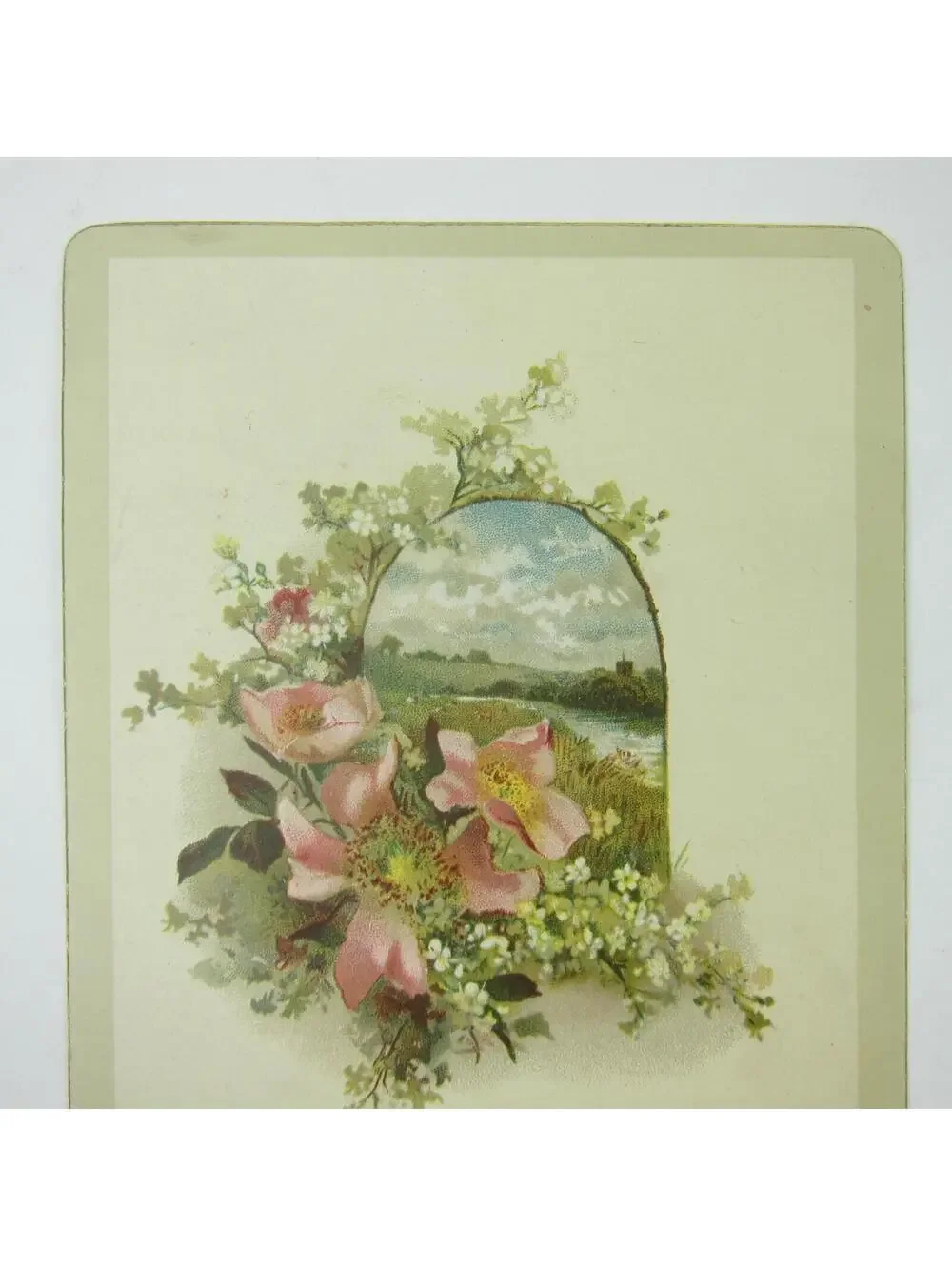 Victorian Christmas Card Flowers Meadow & Spring Hildesheimer & Faulkner Antique